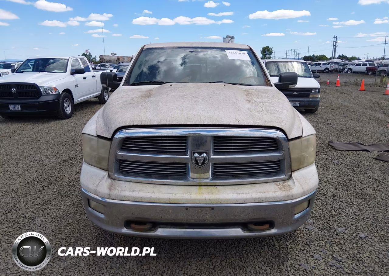 2009 Dodge Ram 1500 Slt-Sport-Trx VIN:1D3HV13T79S704690 - 12