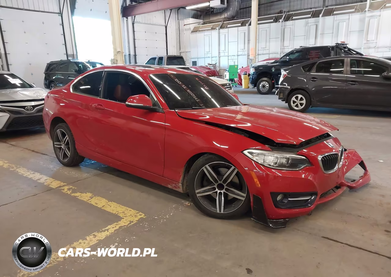 2017 BMW 230I VIN:WBA2F9C35HV984064 - 1