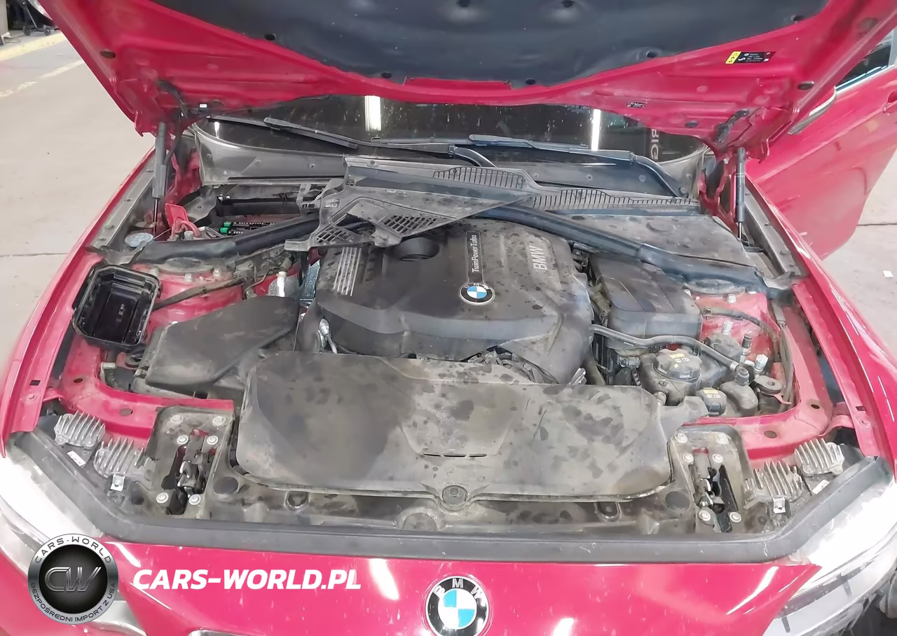 2017 BMW 230I VIN:WBA2F9C35HV984064 - 10