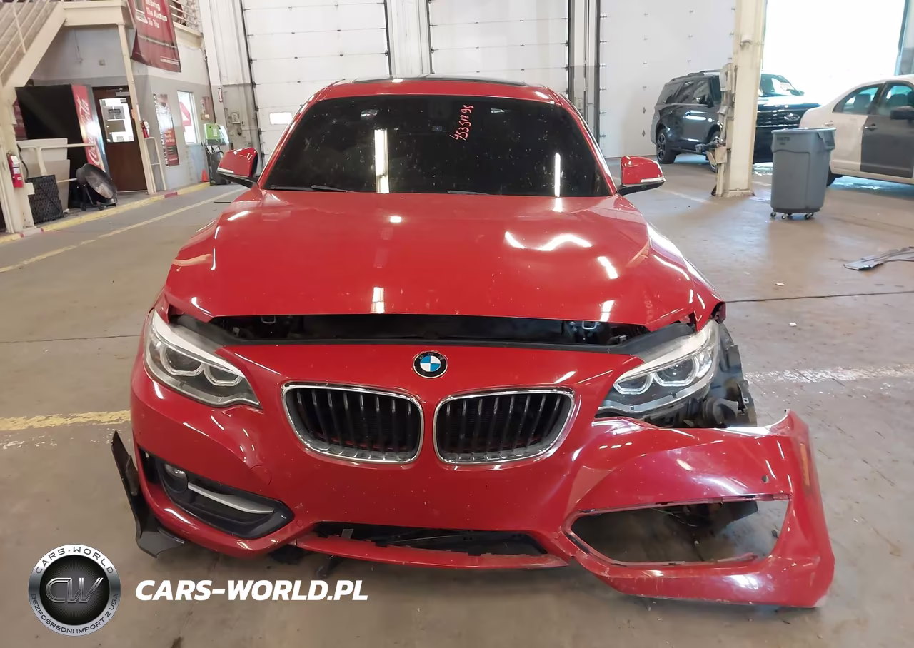 2017 BMW 230I VIN:WBA2F9C35HV984064 - 12