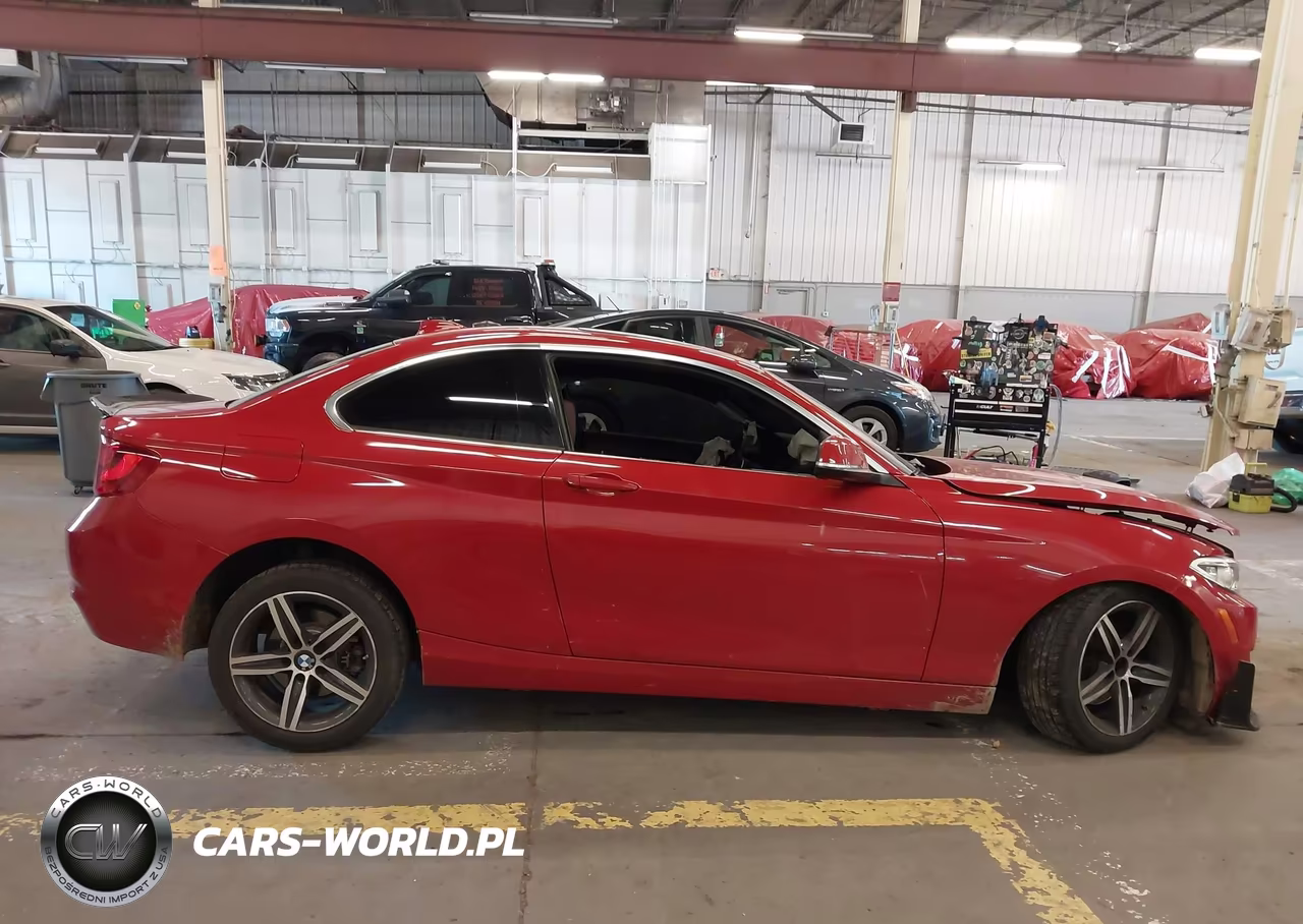 2017 BMW 230I VIN:WBA2F9C35HV984064 - 13