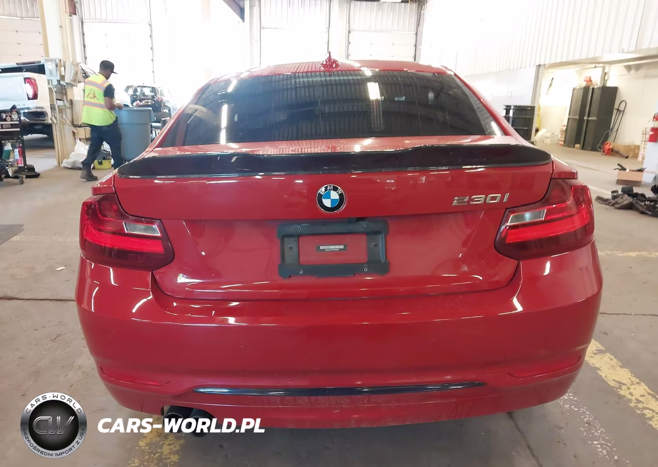 2017 BMW 230I VIN:WBA2F9C35HV984064 - 16