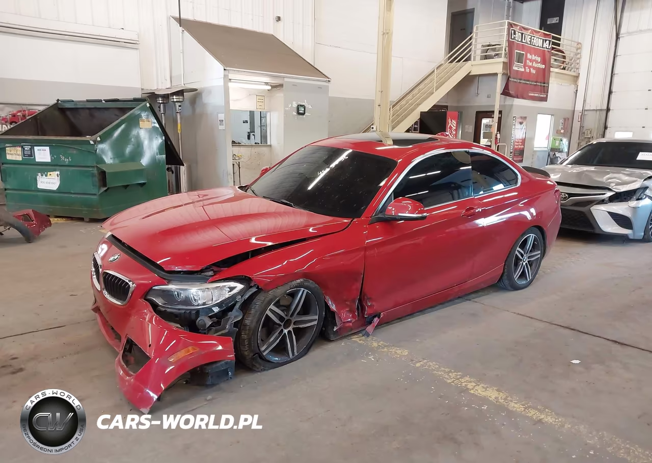 2017 BMW 230I VIN:WBA2F9C35HV984064 - 2