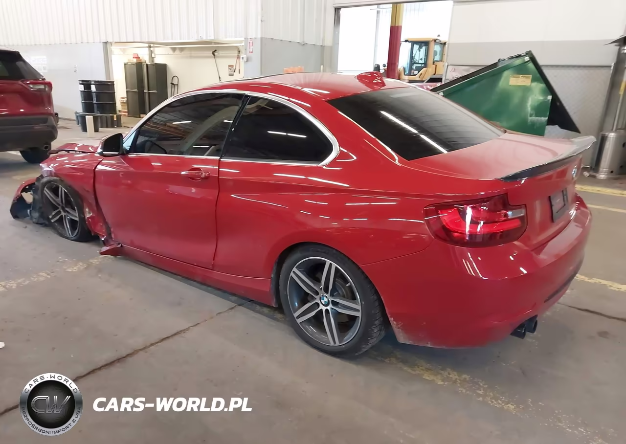 2017 BMW 230I VIN:WBA2F9C35HV984064 - 3