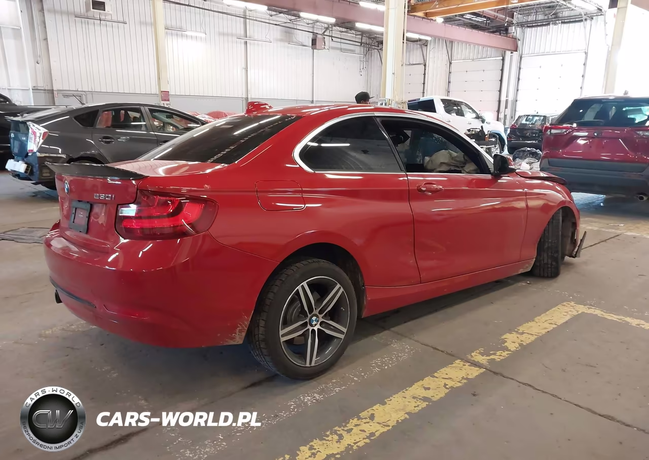 2017 BMW 230I VIN:WBA2F9C35HV984064 - 4