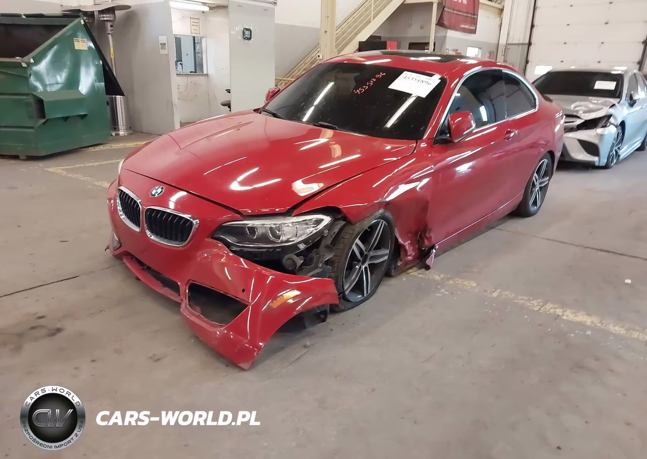 2017 BMW 230I VIN:WBA2F9C35HV984064 - 6