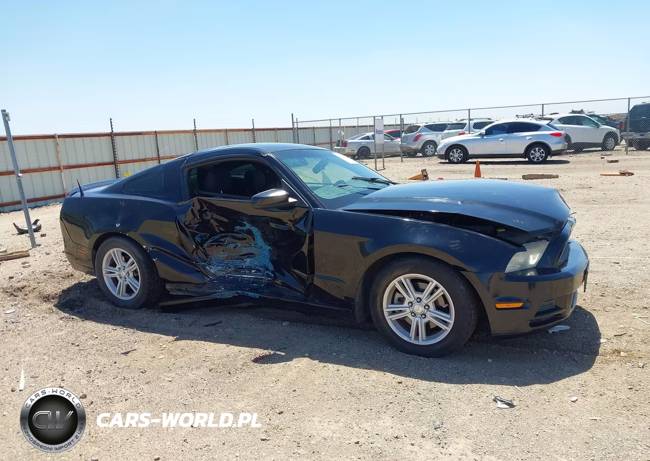 2013 Ford Mustang V6 VIN:1ZVBP8AM2D5251385 - 14