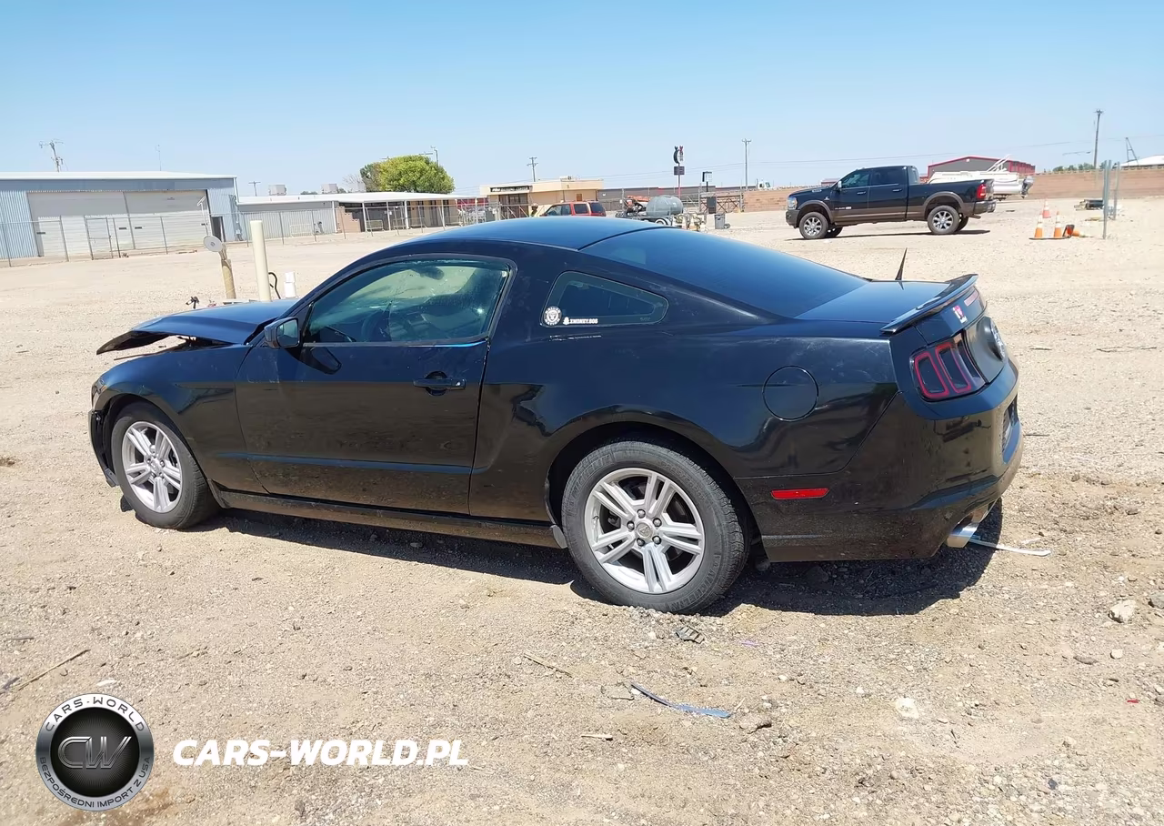 2013 Ford Mustang V6 VIN:1ZVBP8AM2D5251385 - 15
