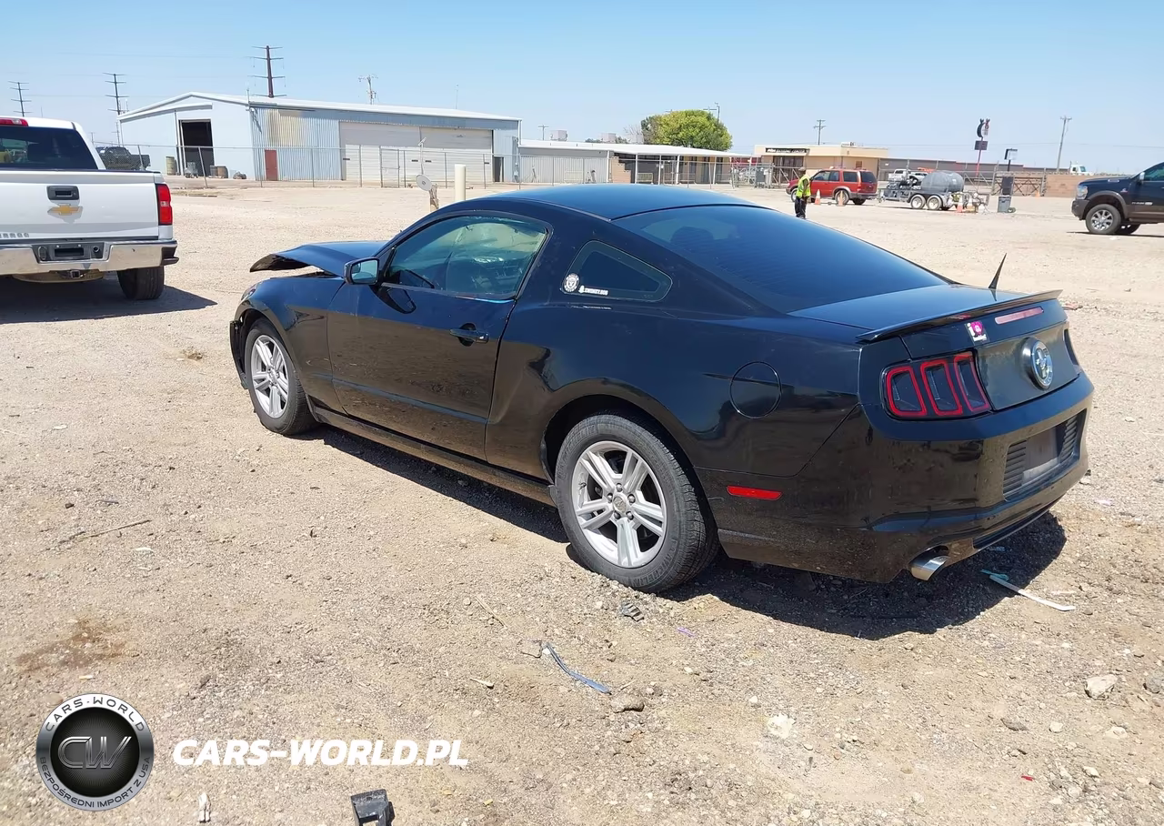 2013 Ford Mustang V6 VIN:1ZVBP8AM2D5251385 - 3