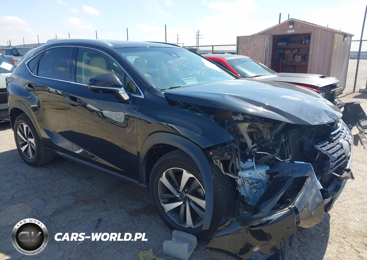 2019 Lexus Nx 300