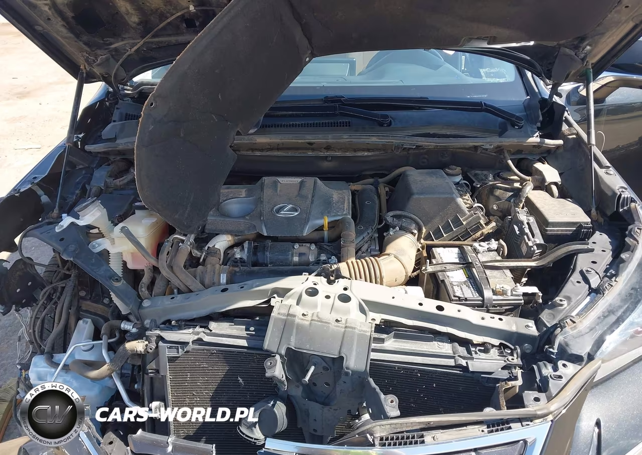 2019 Lexus Nx 300 VIN:JTJYARBZ4K2150262 - 10