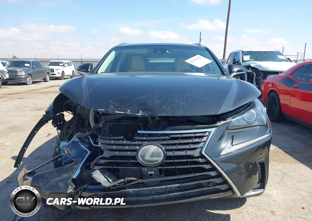 2019 Lexus Nx 300 VIN:JTJYARBZ4K2150262 - 13