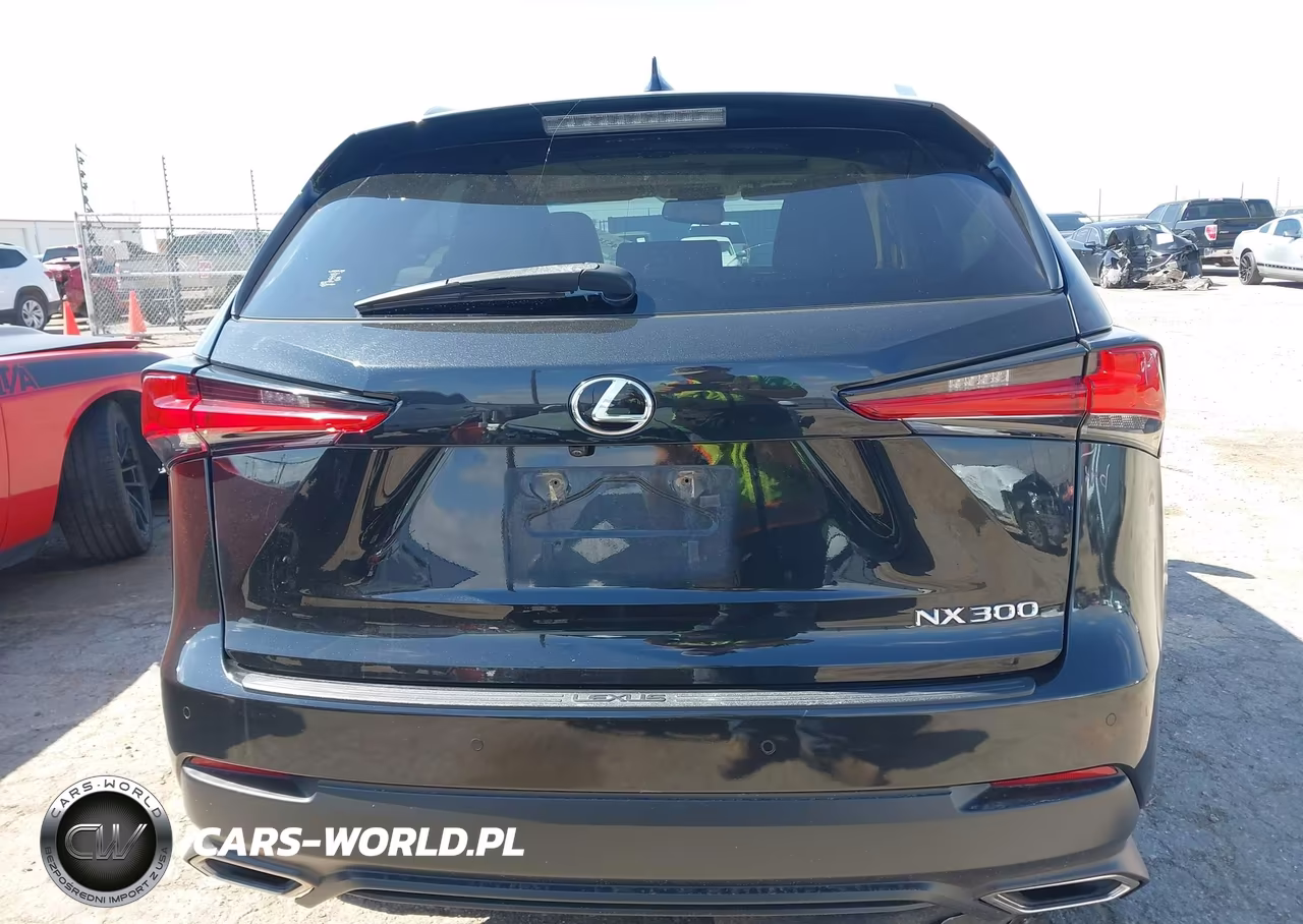2019 Lexus Nx 300 VIN:JTJYARBZ4K2150262 - 17