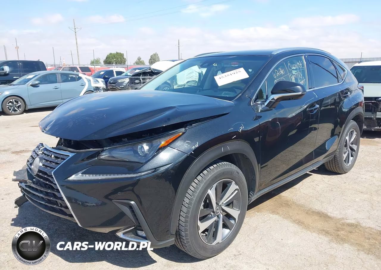 2019 Lexus Nx 300 VIN:JTJYARBZ4K2150262 - 2