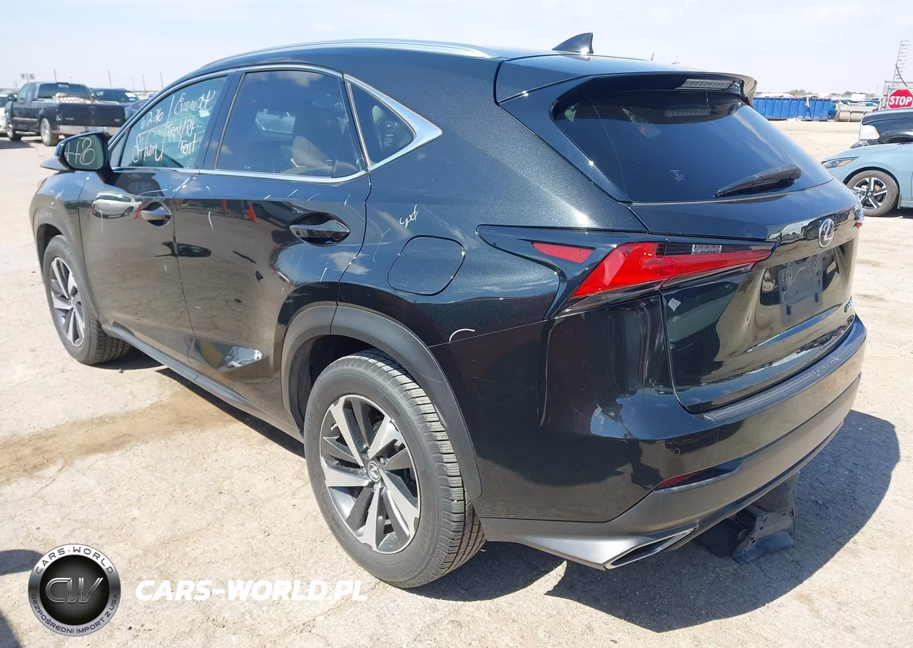 2019 Lexus Nx 300 VIN:JTJYARBZ4K2150262 - 3