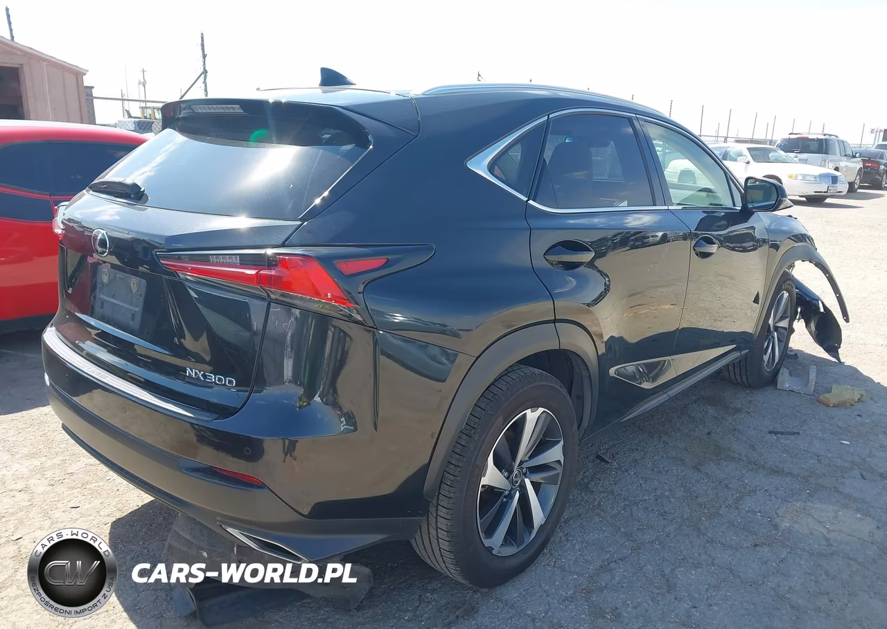 2019 Lexus Nx 300 VIN:JTJYARBZ4K2150262 - 4