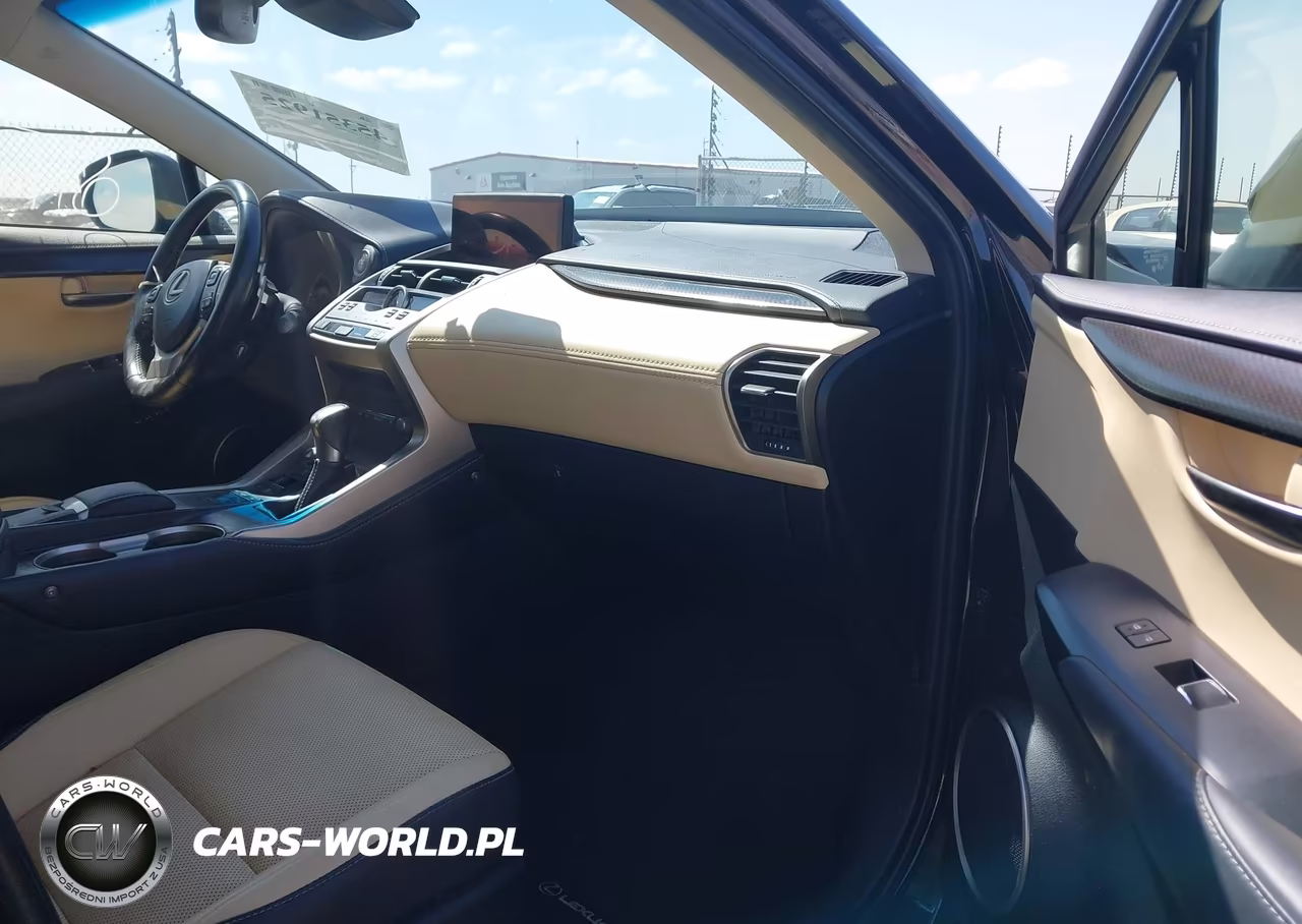 2019 Lexus Nx 300 VIN:JTJYARBZ4K2150262 - 5