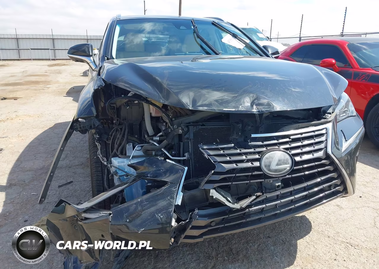 2019 Lexus Nx 300 VIN:JTJYARBZ4K2150262 - 6