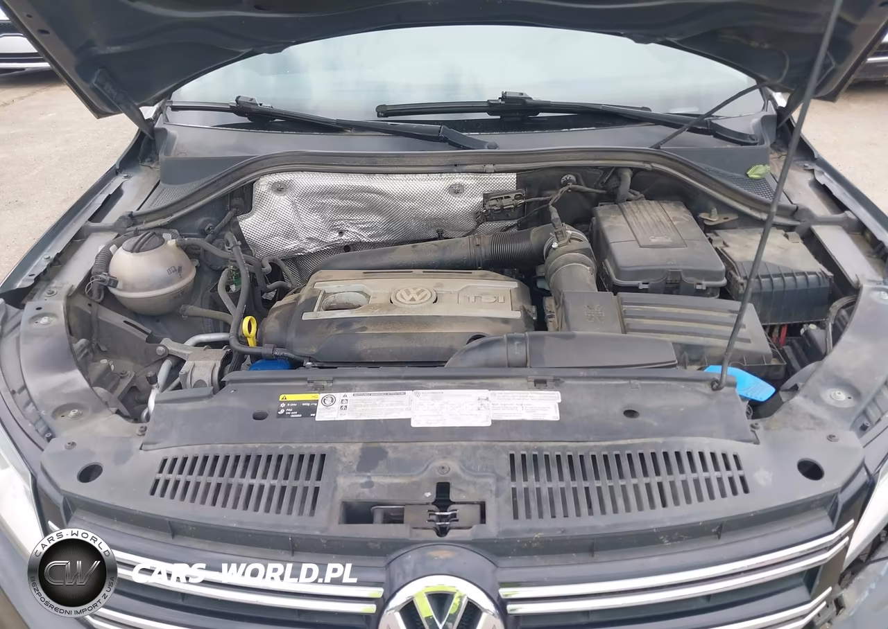 2013 Volkswagen Tiguan S VIN:WVGBV3AXXDW626354 - 10