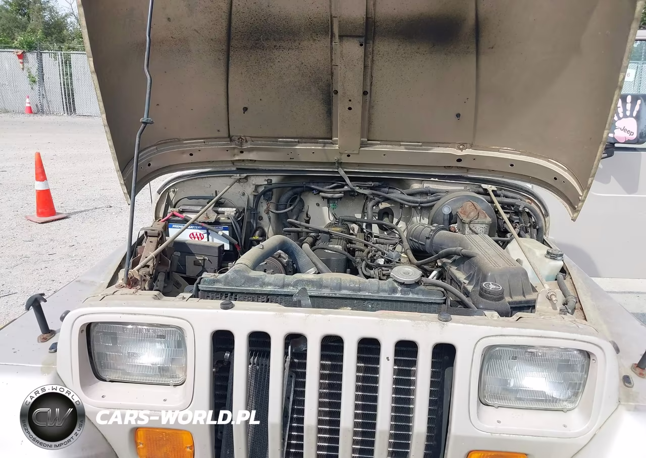 1995 Jeep Wrangler - Yj S-Rio Grande VIN:1J4FY19P3SP286309 - 10