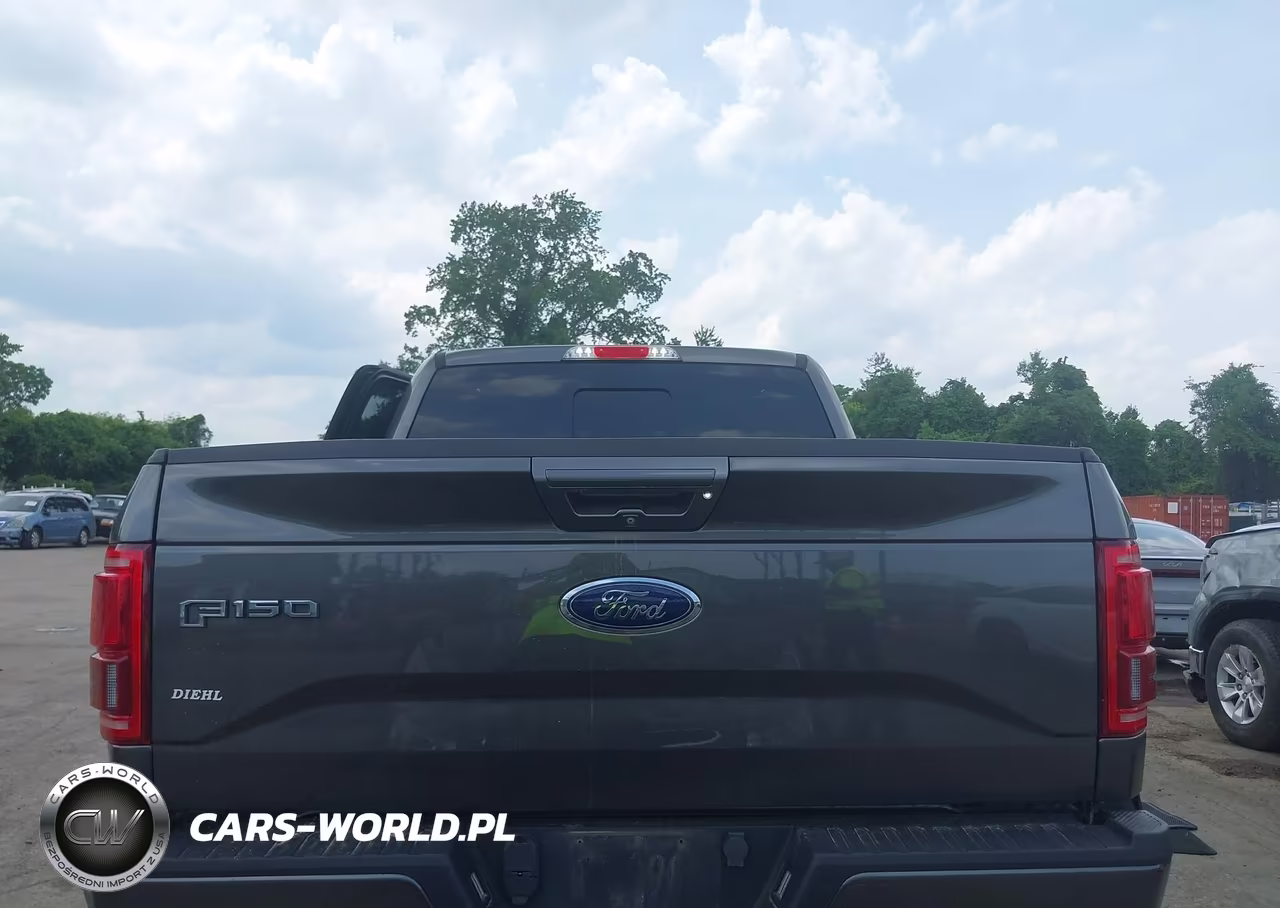 2015 Ford F-150 Lariat VIN:1FTEW1EG3FFB79978 - 16