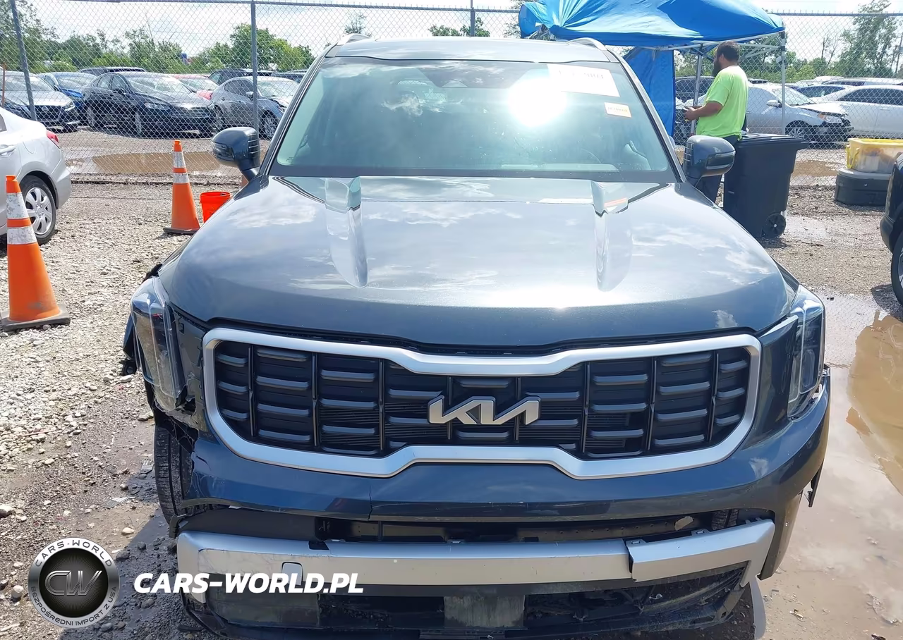 2024 Kia Telluride S VIN:5XYP6DGC2RG556886 - 12