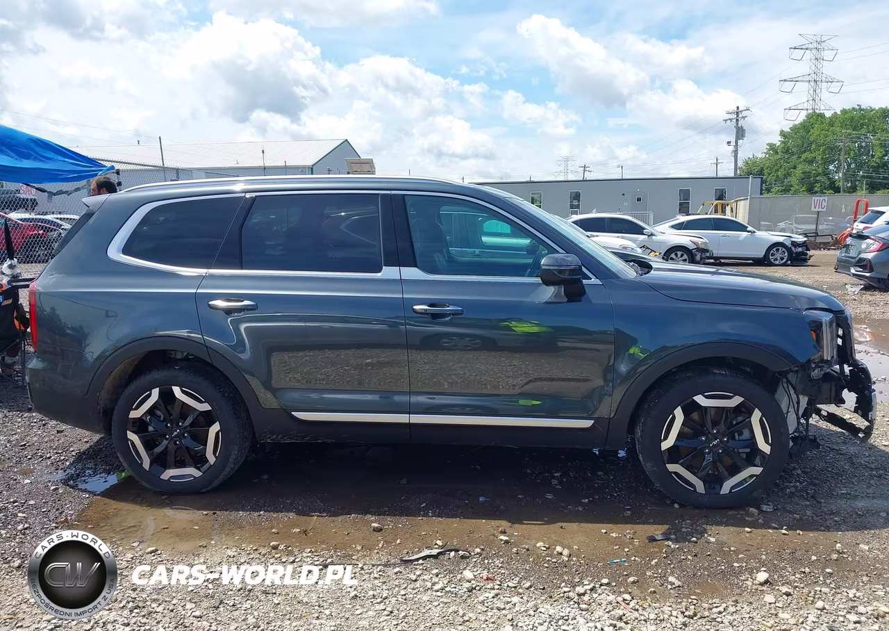 2024 Kia Telluride S VIN:5XYP6DGC2RG556886 - 13