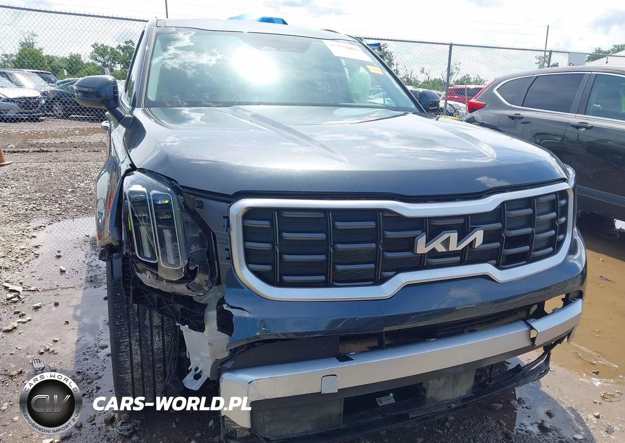 2024 Kia Telluride S VIN:5XYP6DGC2RG556886 - 6