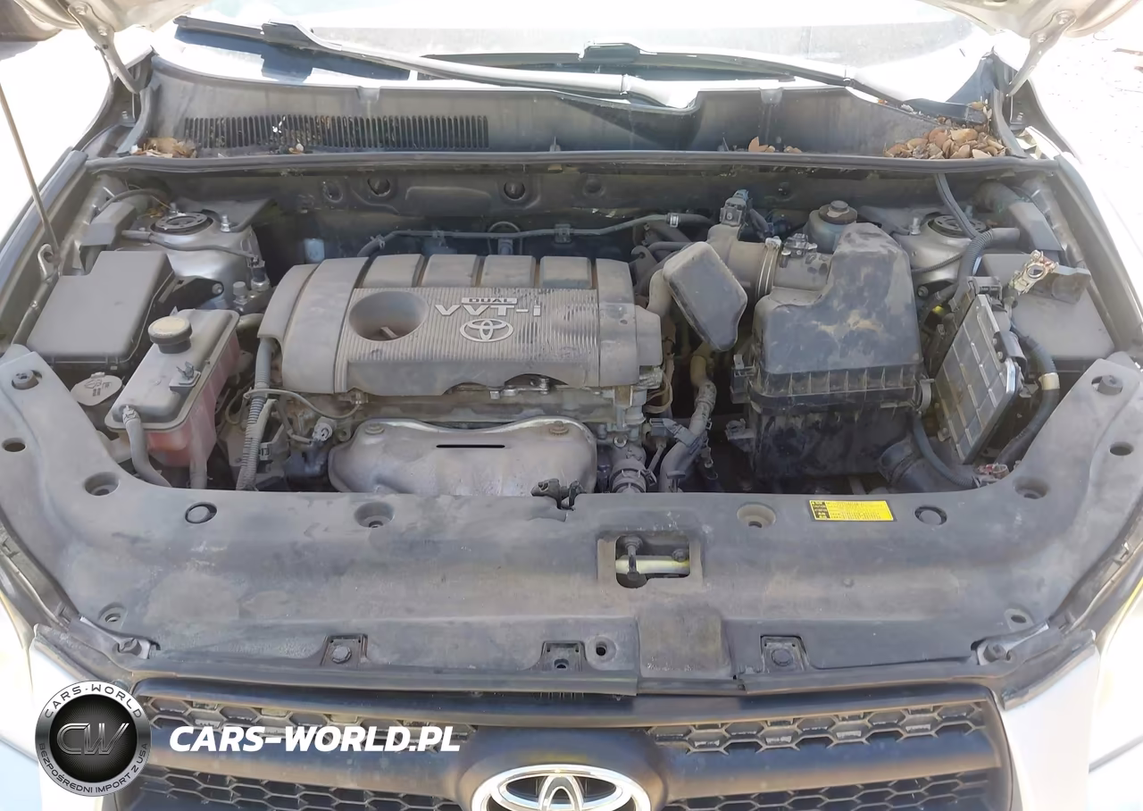 2009 Toyota Rav4 VIN:JTMBF33V89D005453 - 10