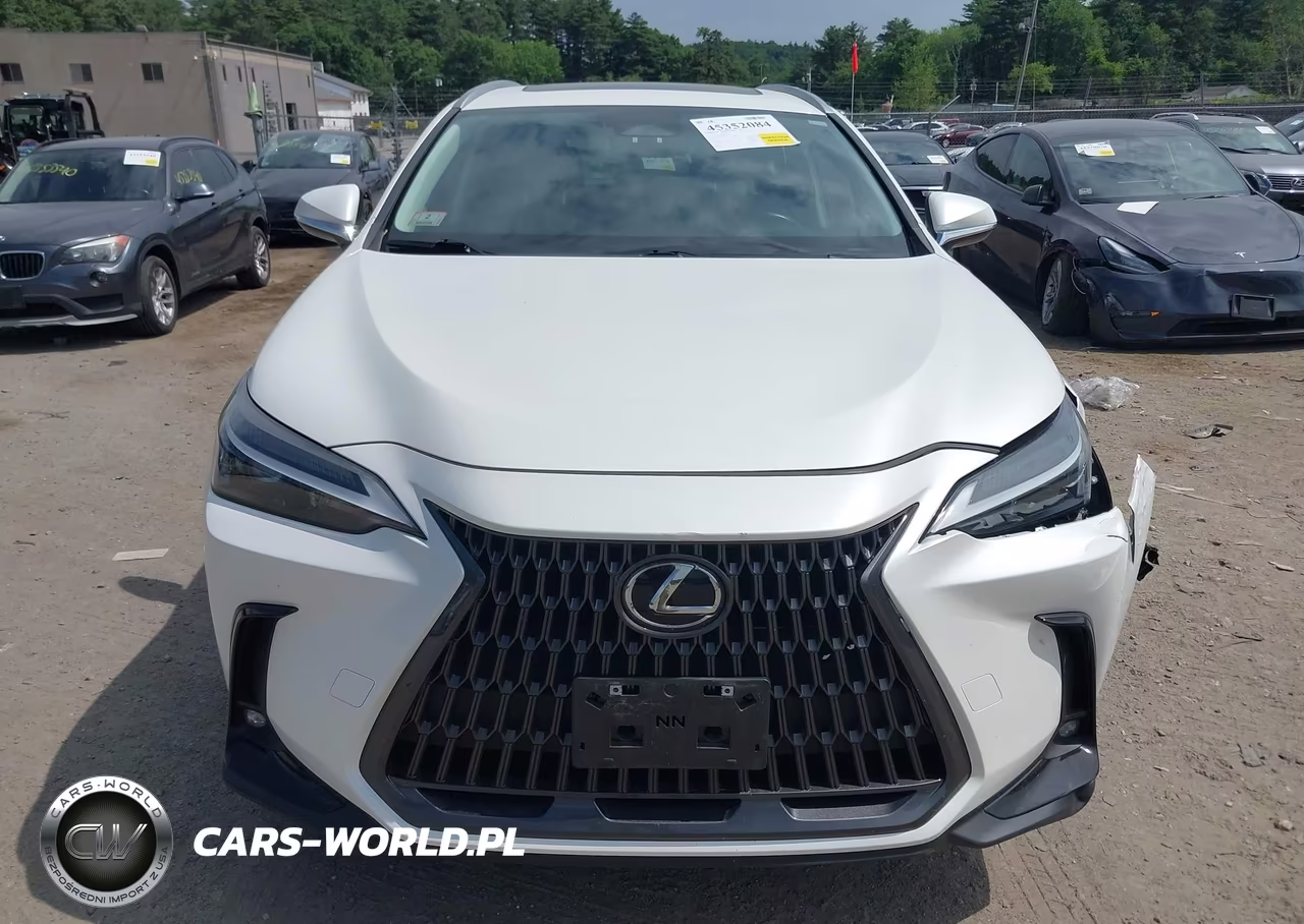 2022 Lexus Nx 350 VIN:JTJAGCEZ8N2003195 - 12