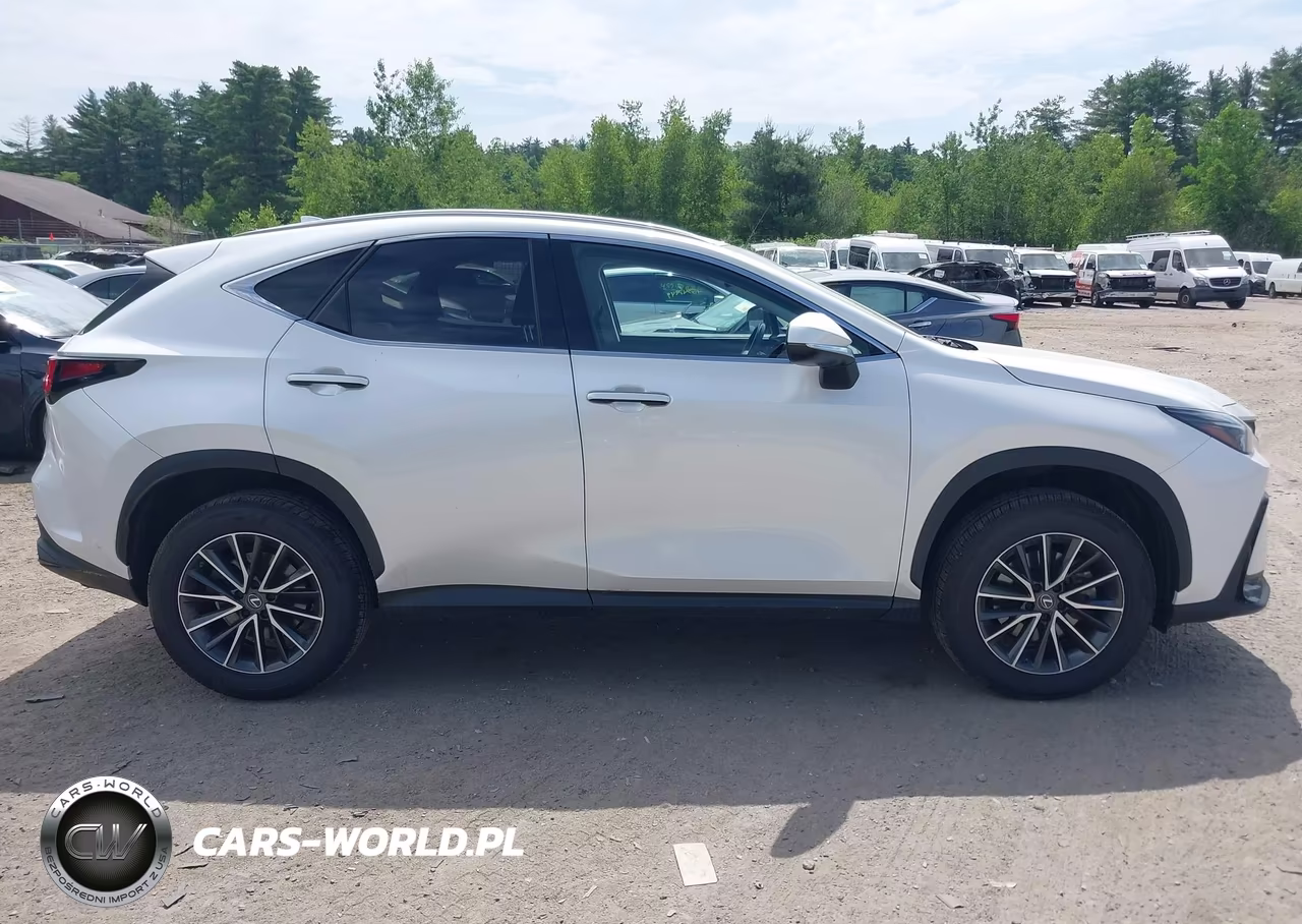 2022 Lexus Nx 350 VIN:JTJAGCEZ8N2003195 - 13