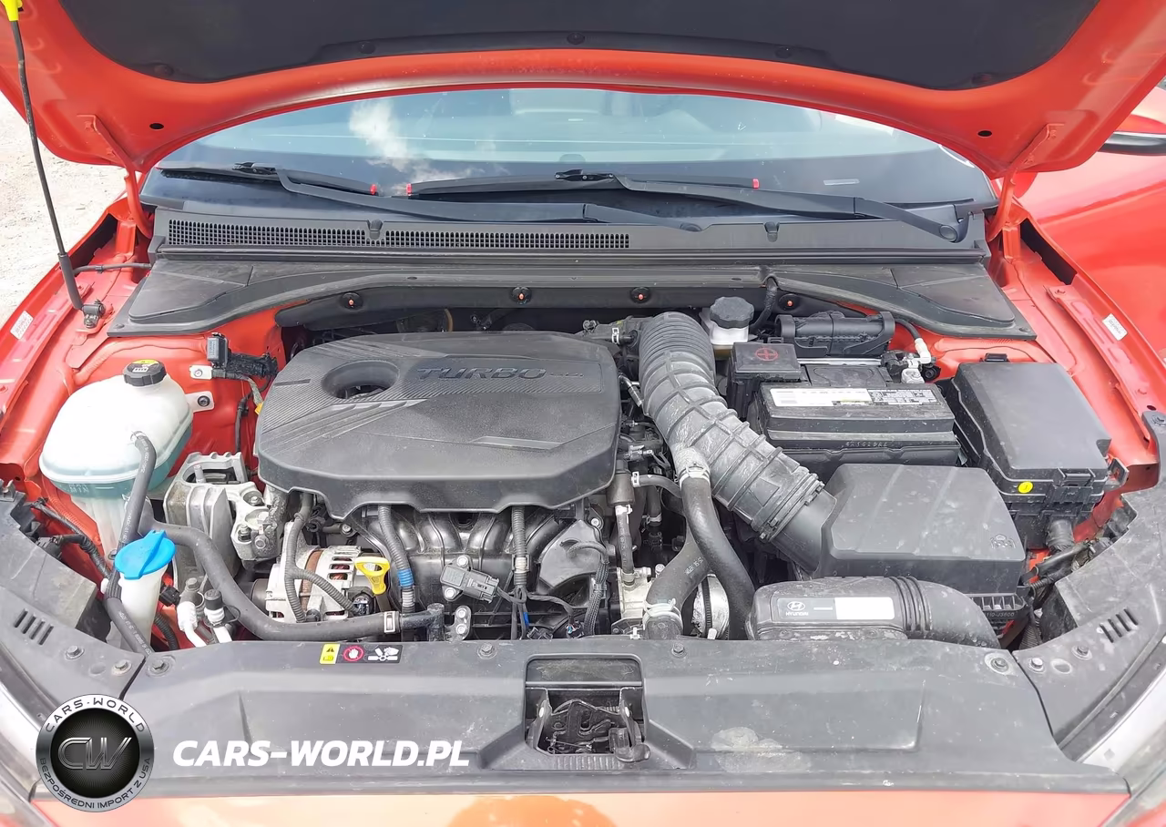 2019 Hyundai Veloster Turbo VIN:KMHTH6AB4KU015682 - 10