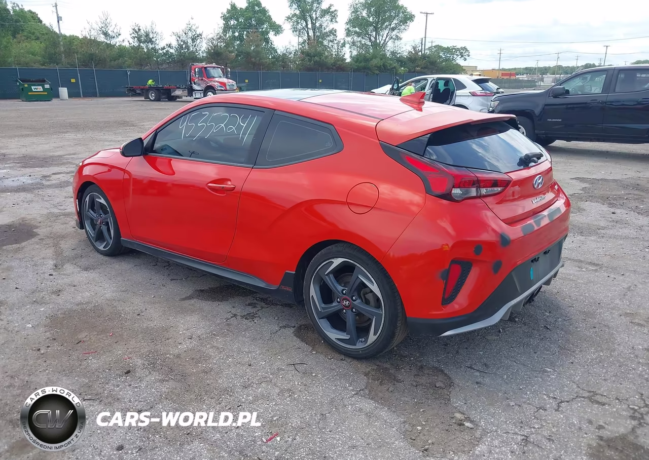 2019 Hyundai Veloster Turbo VIN:KMHTH6AB4KU015682 - 3