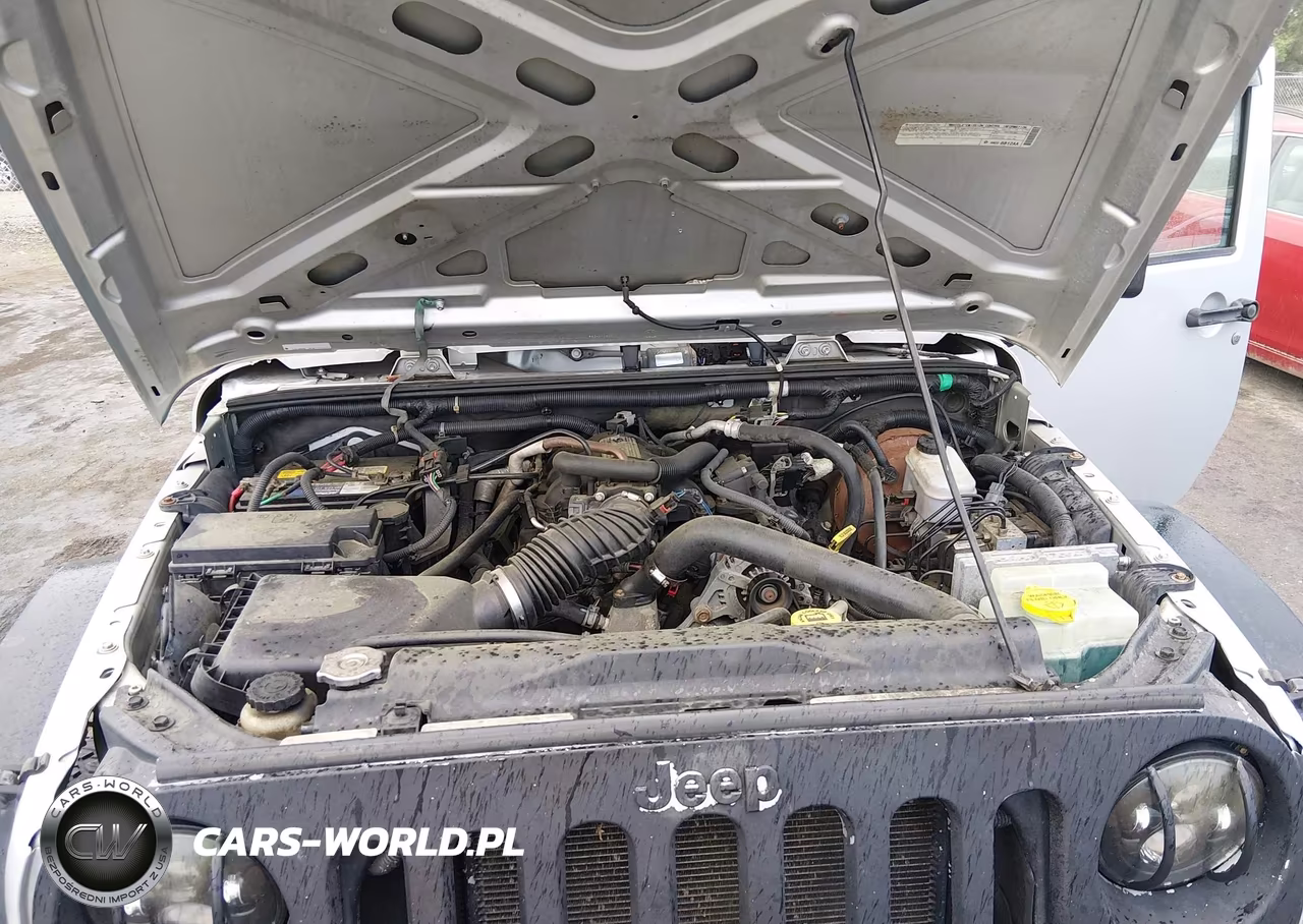 2008 Jeep Wrangler Sahara VIN:1J4FA54138L616786 - 10