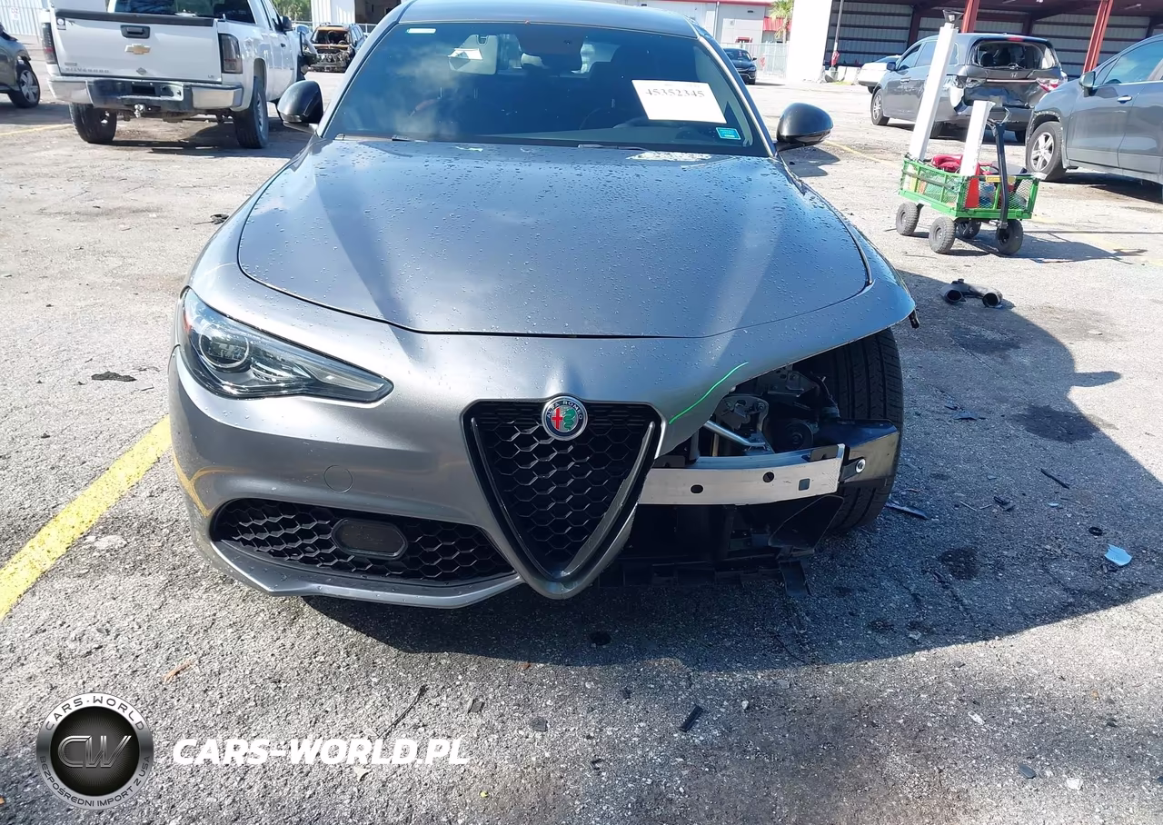 2019 Alfa Romeo Giulia Sport Rwd VIN:ZARFAMAN1K7622552 - 12