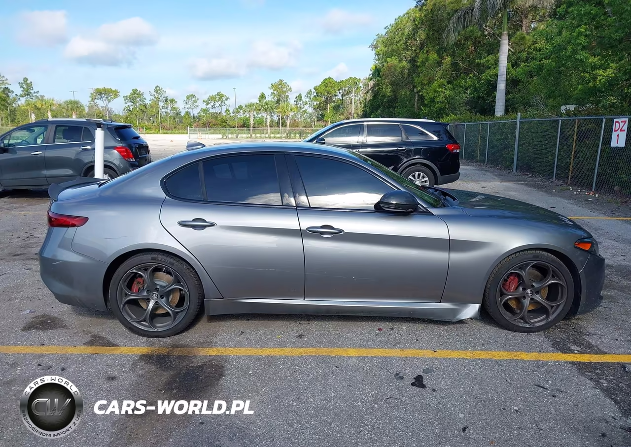 2019 Alfa Romeo Giulia Sport Rwd VIN:ZARFAMAN1K7622552 - 13
