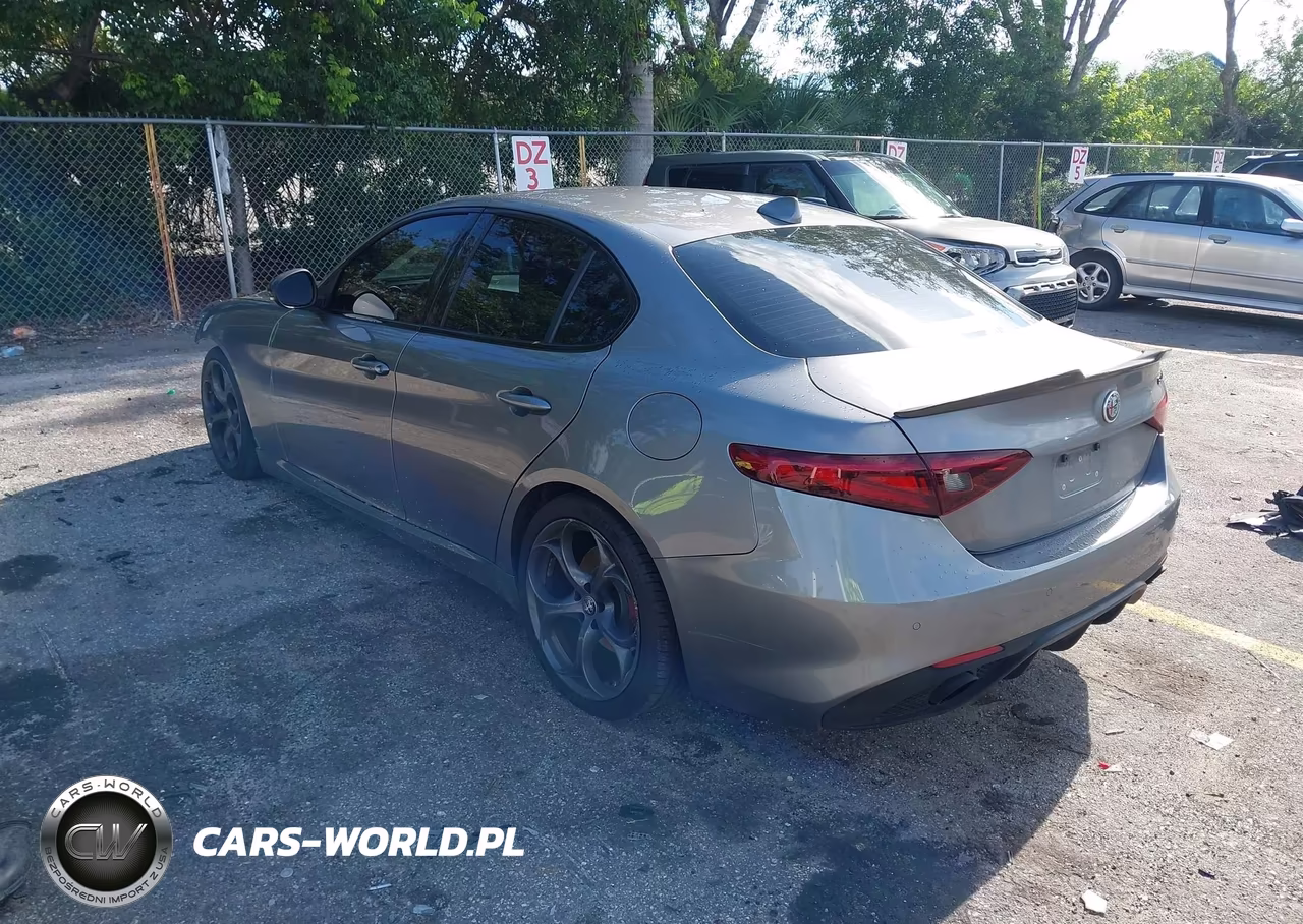 2019 Alfa Romeo Giulia Sport Rwd VIN:ZARFAMAN1K7622552 - 3
