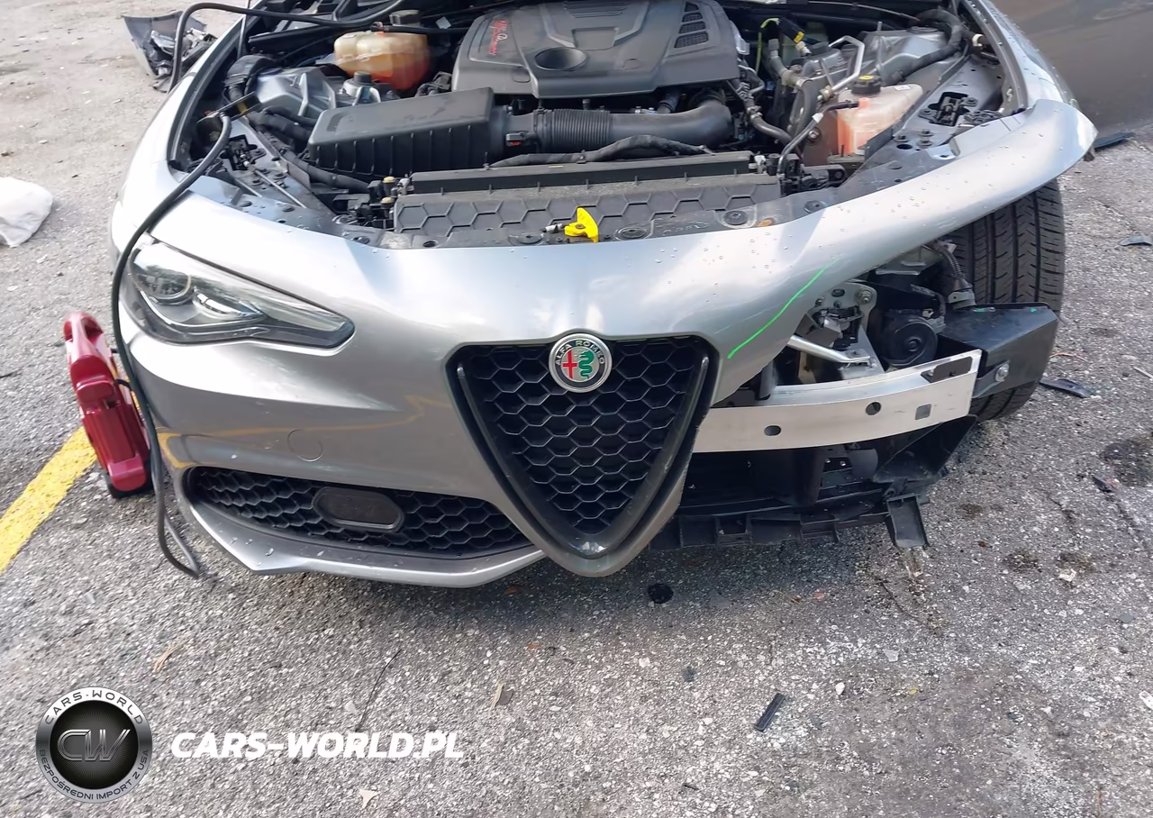 2019 Alfa Romeo Giulia Sport Rwd VIN:ZARFAMAN1K7622552 - 6