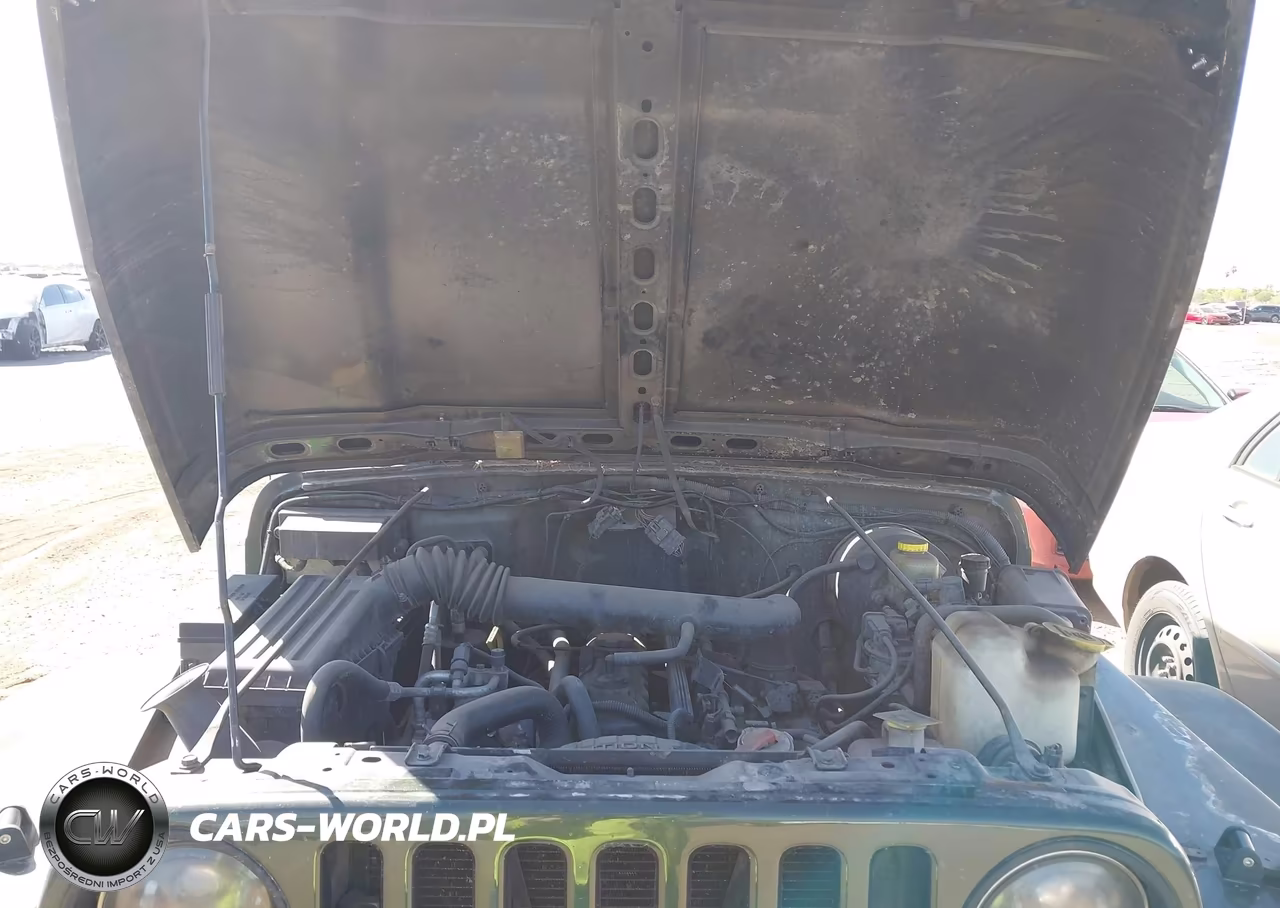 1998 Jeep Wrangler Sport VIN:1J4FY19S5WP724757 - 10