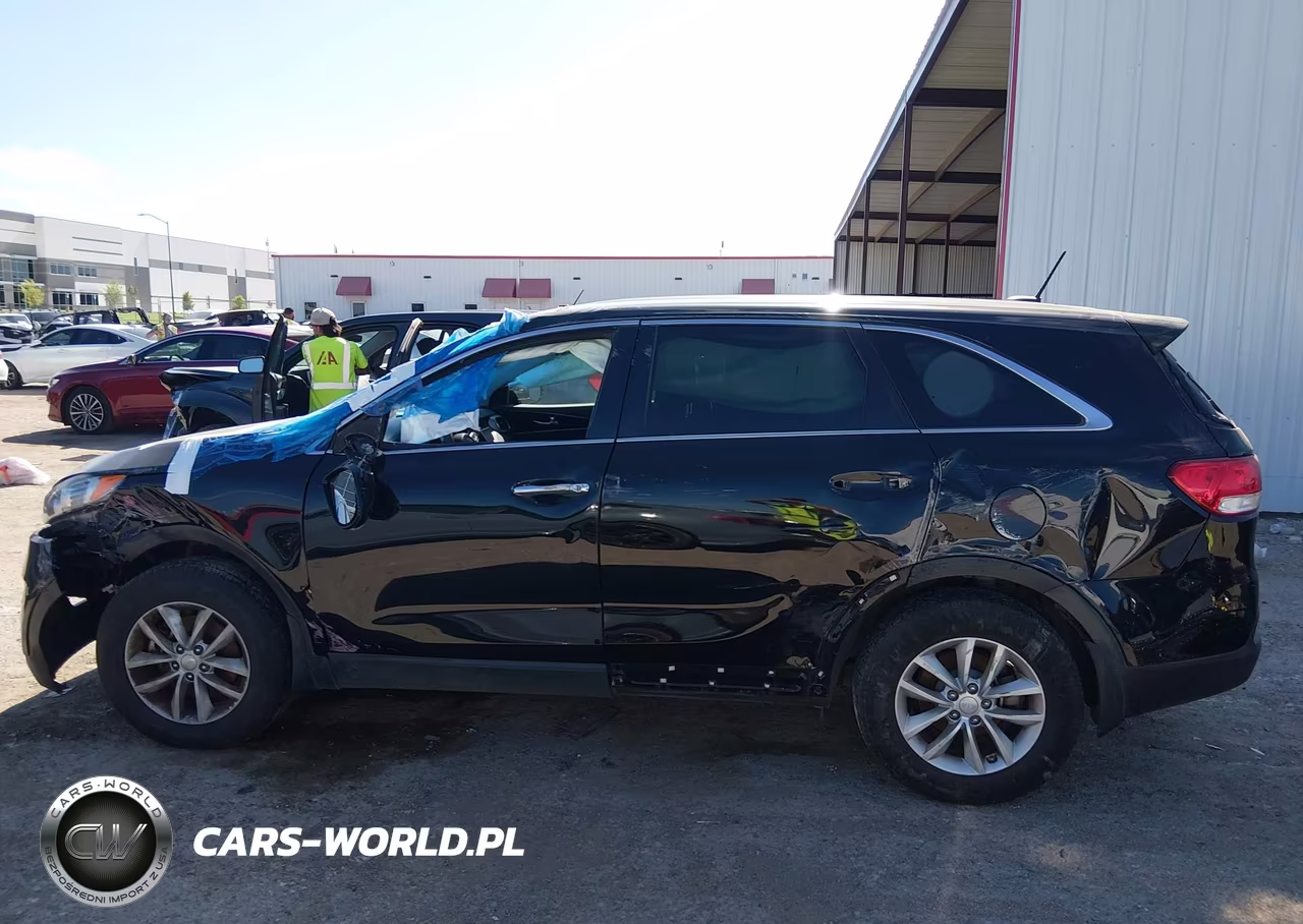 2017 Kia Sorento 2.4L L VIN:5XYPG4A32HG191162 - 10