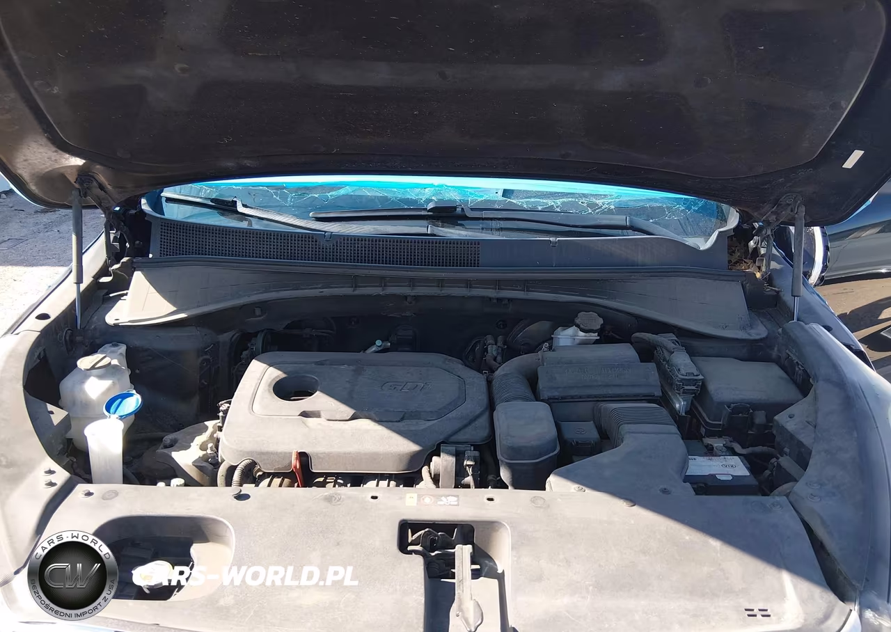 2017 Kia Sorento 2.4L L VIN:5XYPG4A32HG191162 - 7