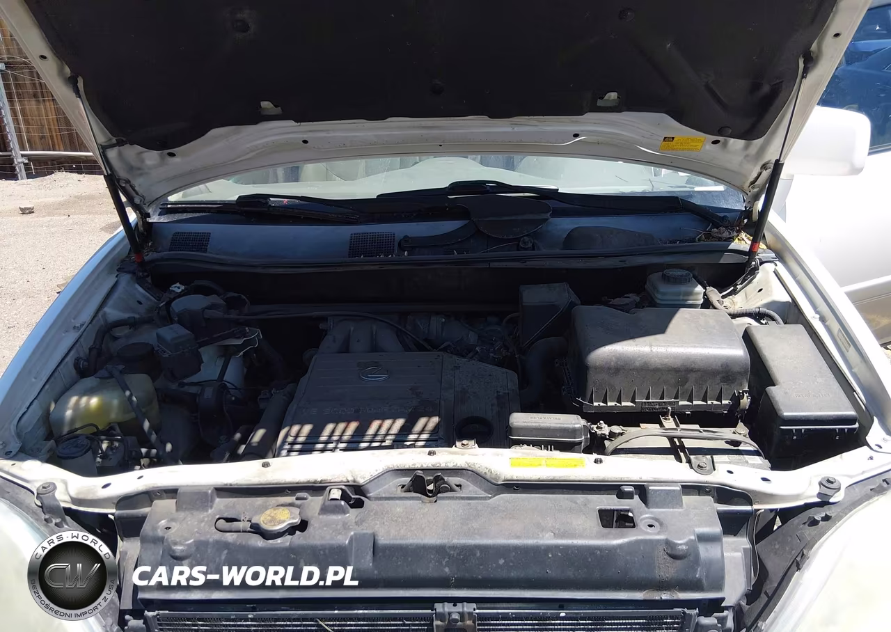 2003 Lexus Rx 300 VIN:JTJHF10U530292904 - 10