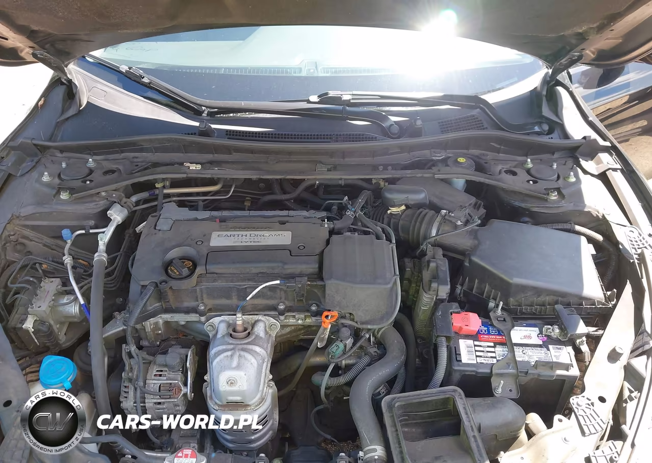 2014 Honda Accord Ex-L VIN:1HGCR2F81EA099474 - 10