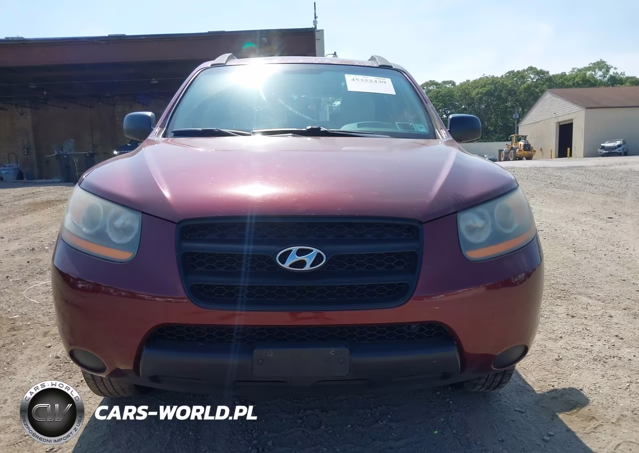 2009 Hyundai Santa Fe Gls VIN:5NMSG13D49H259855 - 12