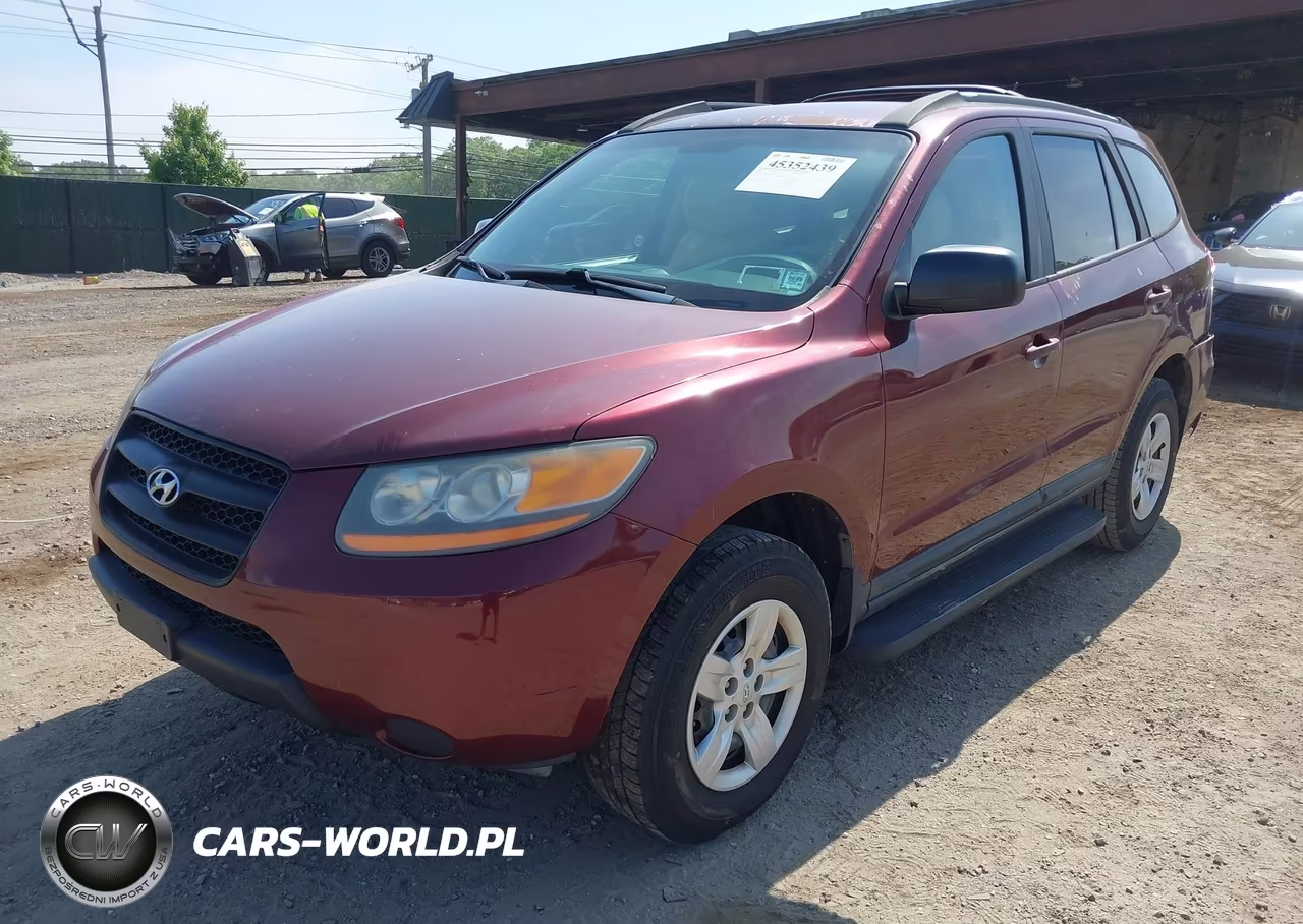 2009 Hyundai Santa Fe Gls VIN:5NMSG13D49H259855 - 2