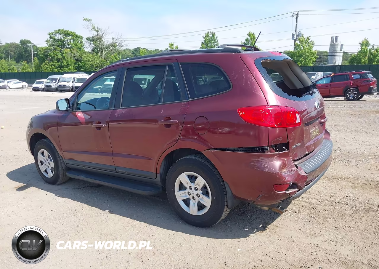 2009 Hyundai Santa Fe Gls VIN:5NMSG13D49H259855 - 6