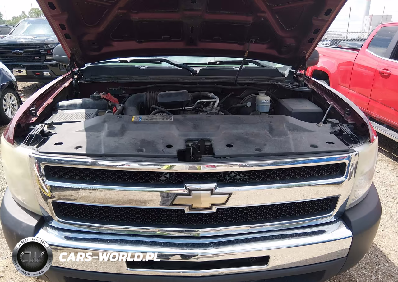 2009 Chevrolet Silverado 1500 Work Truck VIN:1GCEC14X59Z230135 - 10