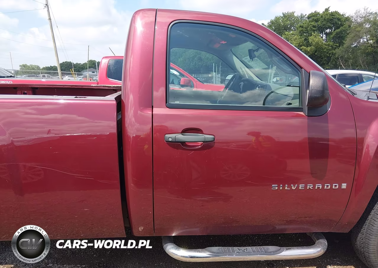 2009 Chevrolet Silverado 1500 Work Truck VIN:1GCEC14X59Z230135 - 13