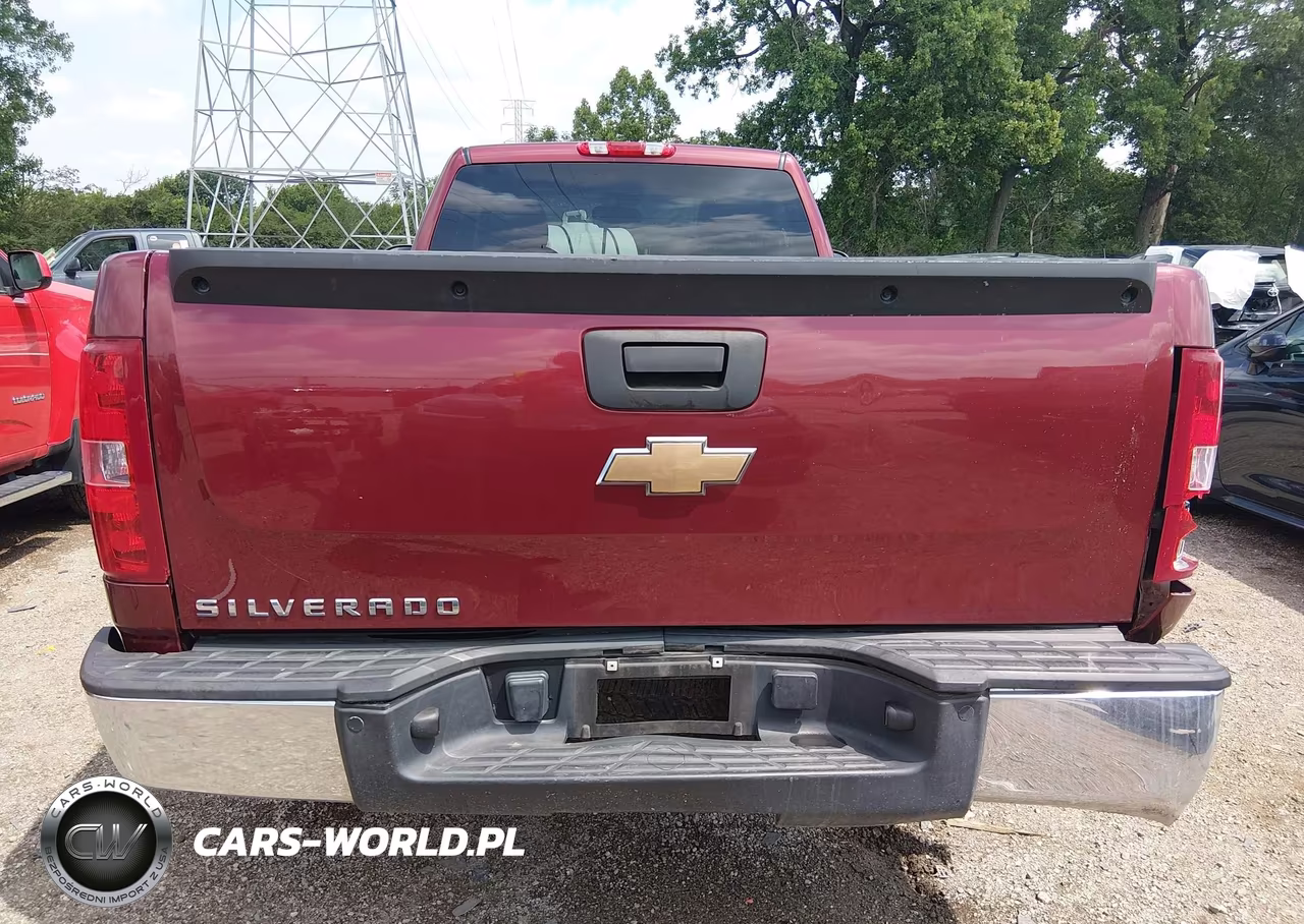 2009 Chevrolet Silverado 1500 Work Truck VIN:1GCEC14X59Z230135 - 16