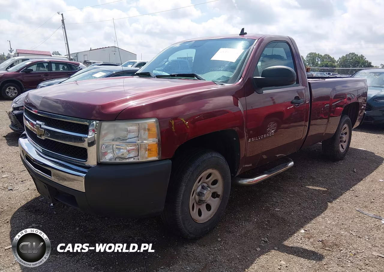 2009 Chevrolet Silverado 1500 Work Truck VIN:1GCEC14X59Z230135 - 2